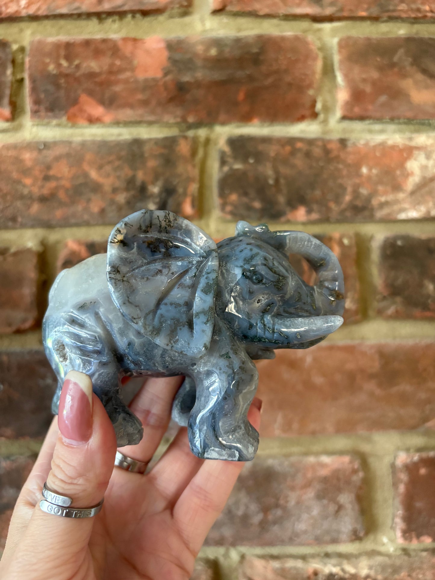 Moss Elephant