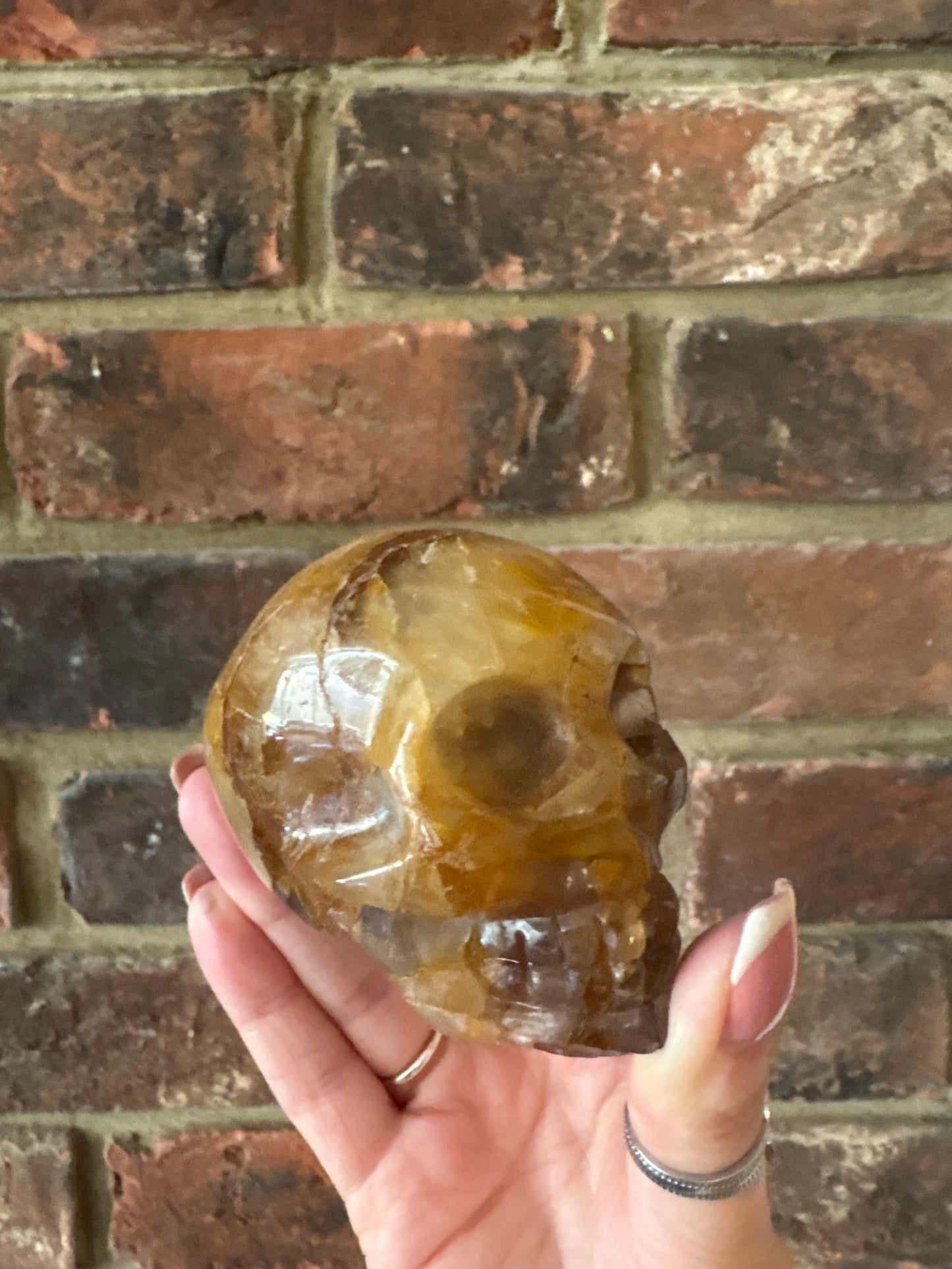 Golden healer skull