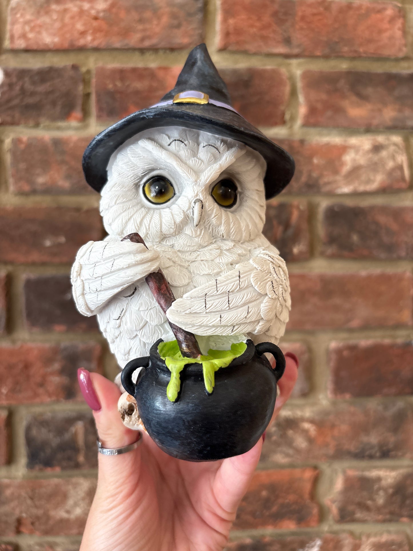 Owl potion