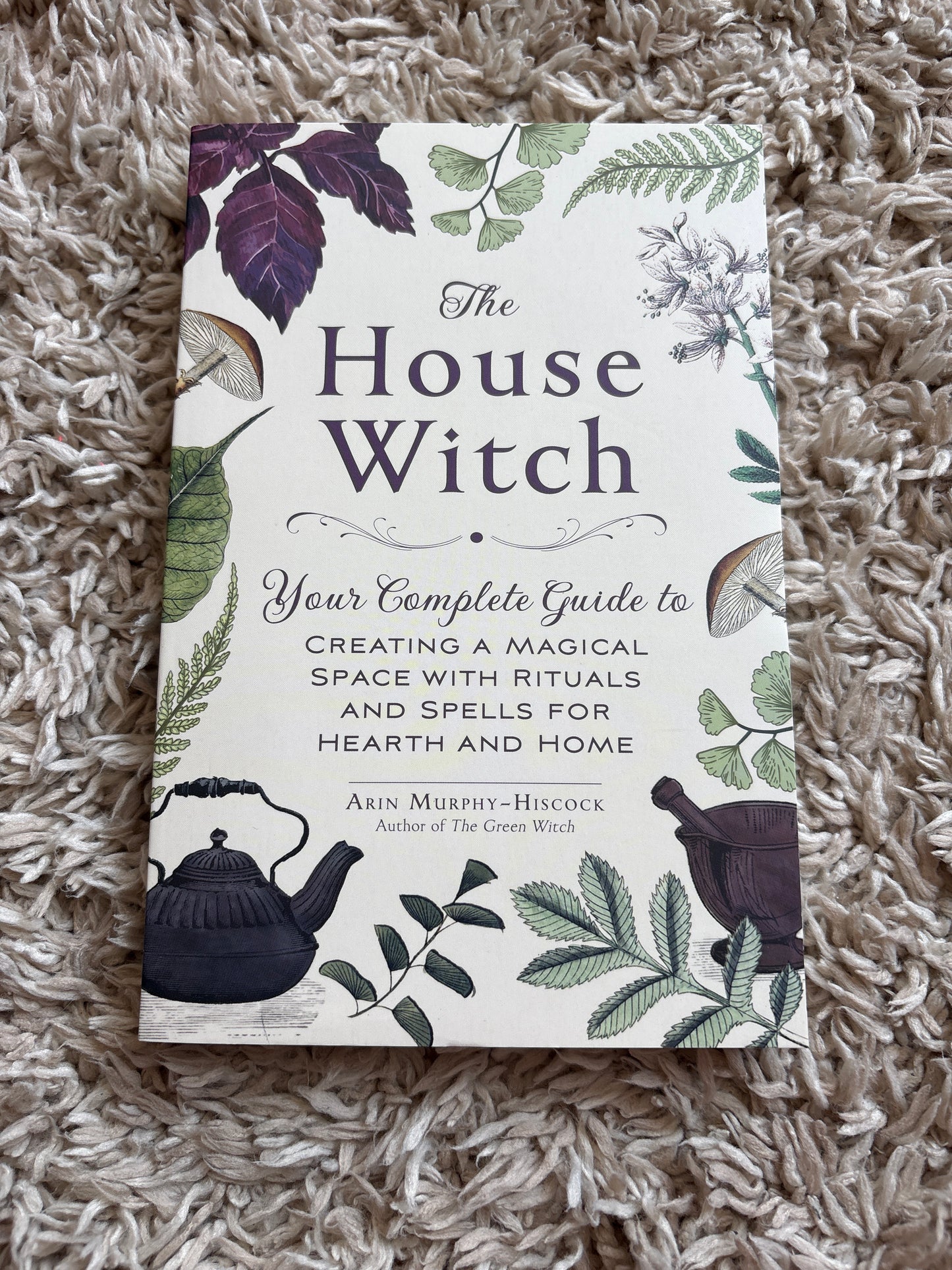 The house witch